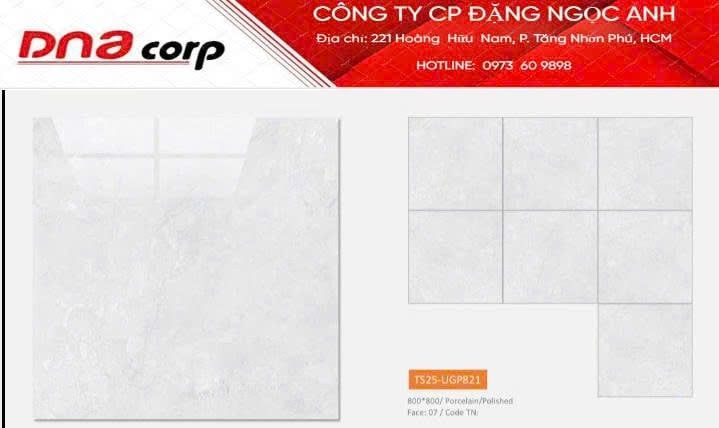  80*80 TS25-UGP821 Gạch đá bóng kính Viglacera (3v/th/1.92m) 
