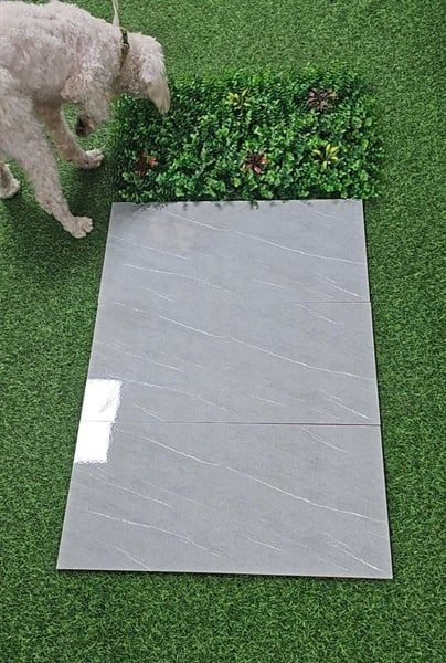  men bóng thân xám30*60 pak th9v/1.62met HL3070 sale A 