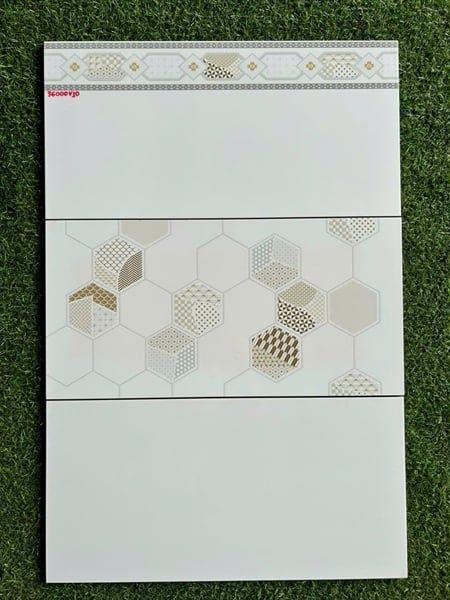  thân trắng 30*60 gr3600 