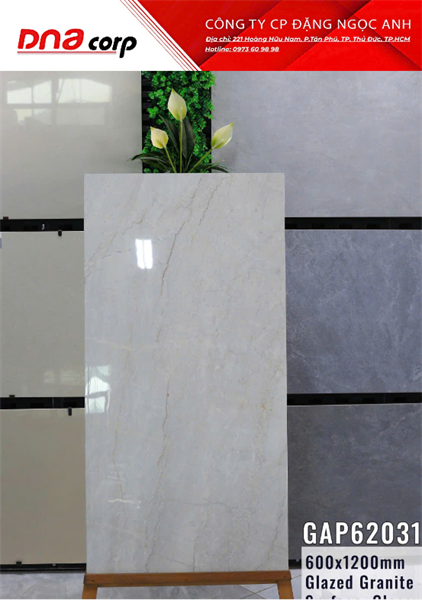  60*120 GPA62031 Gạch ốp lát đá bk ấn độ (2v/thùng/1.44met) 