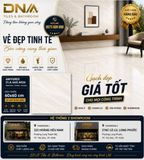  60*60 4026 Gạch lát nền đá bóng kính á mỹ (1.44m/4v/th) 