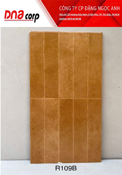  30*60 R109B Gạch men trang trí nhập khẩu (1.44m/8v/th) 