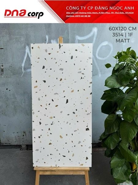  3514 1F Gạch Ấn Độ 60x120 