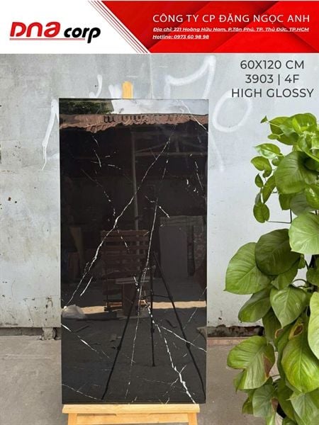  3903 Gạch Ấn Độ 60x120 