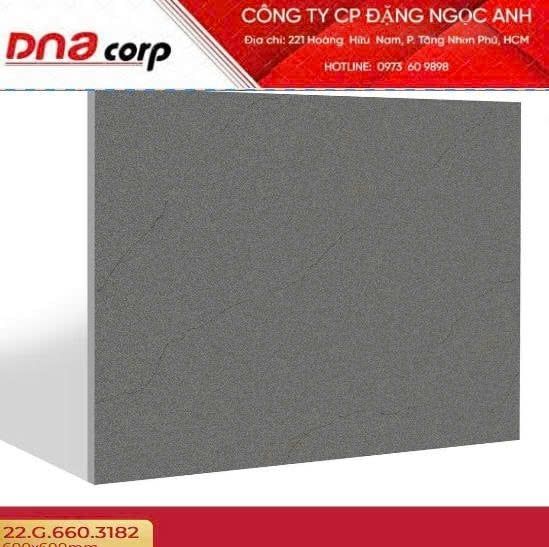  60*60 3182 Gạch ốp lát đá bs mờ (1.44m/4v/th) 