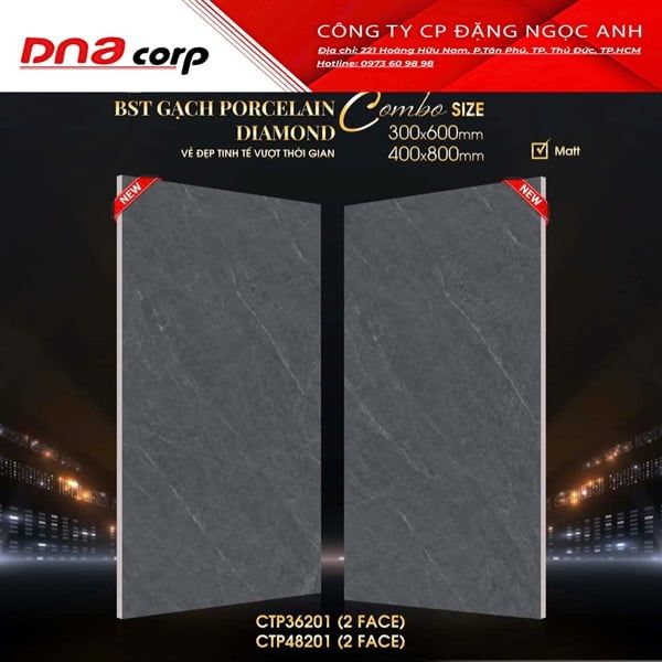 40x80 CTP48201 Gạch Đá Mờ 