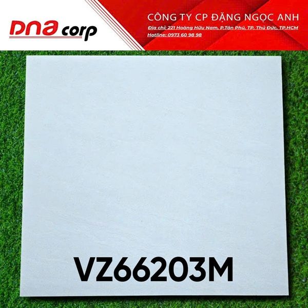  vz66203m 60*60 đá mờ vitaly 