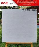  80*80 ASD8819GM gạch lát nền đá mờ Vigacera (3v/th/1,92m) 