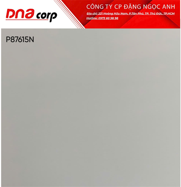  p87621n 80*80 taicera th3v/1.92m 