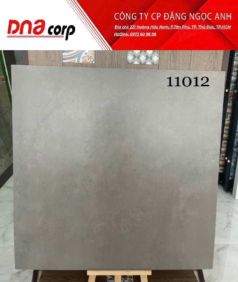  Gạch Ấn Độ 100*100 11012 gạch đá mờ 