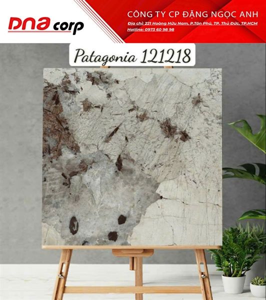  120x120 121218 Gạch Ấn Độ Patagonia 