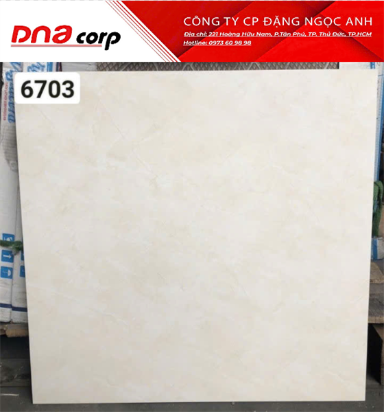  60*60 TB6703 Gạch lát nền đá bóng kính Viglacera (1.44m/4v/th) 