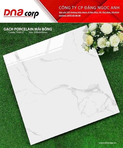  60x60 TK6637 Gạch Porcelain Mài Bóng 