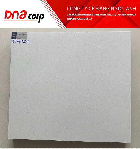  60*60 TSTM 601 gạch ốp lát đá mờ đồng chất ( 4 viên/th/1.44 mét) 