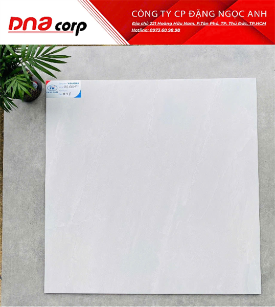  60*60 BS6607 Gạch bán xứ mờ viglacera 4v/th/1.44m 