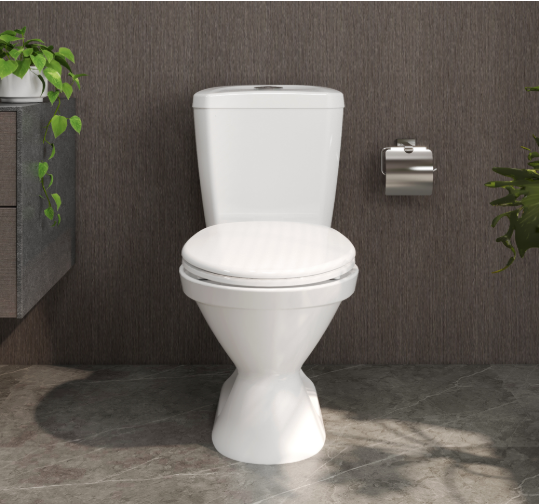  Cầu rời hai nút nhấn vi66 