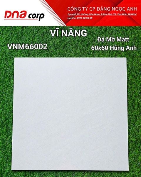  60x60 VNM66002 Đá Mờ Matt Hùng Anh 