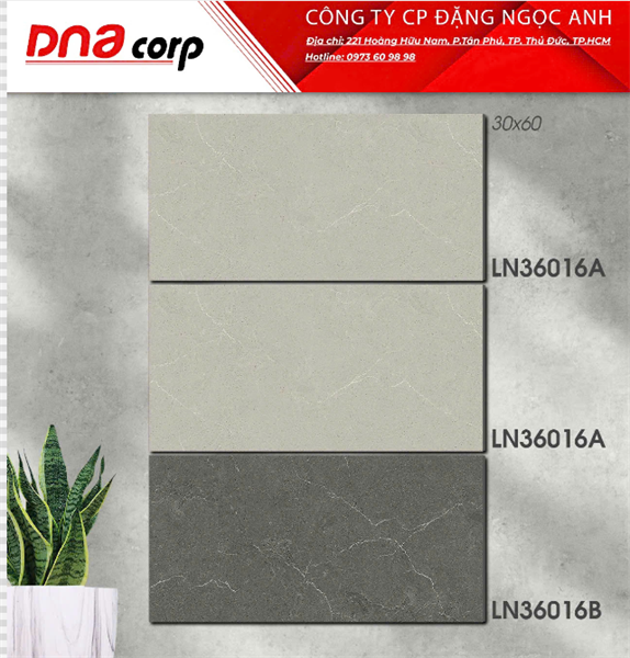  30*60 LN36016A Gạch ốp lát đá mờ nhạt kiss (8 viên/thùng/1.44met) 