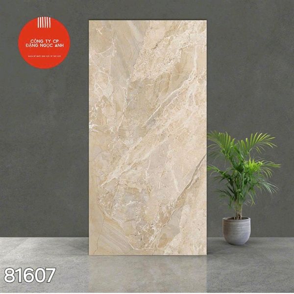  Gạch 81607 Ấn Độ 80×160 