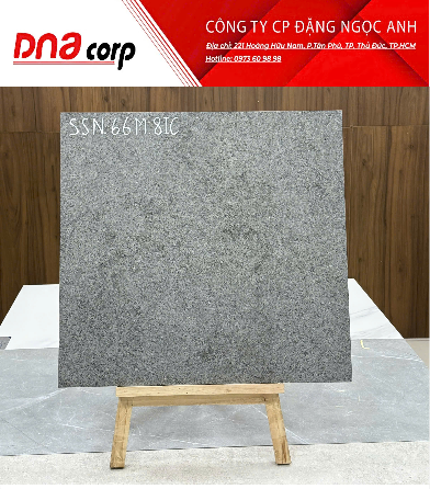  60*60 SSN66M gạch ốp lát ấn độ đá mờ ( 4 viên/th/1.44 mét) 