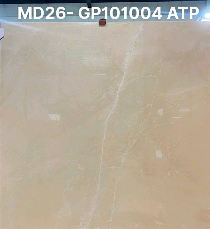  100*100 GP101004 Gạch lát nền khổ lớn viglacera 