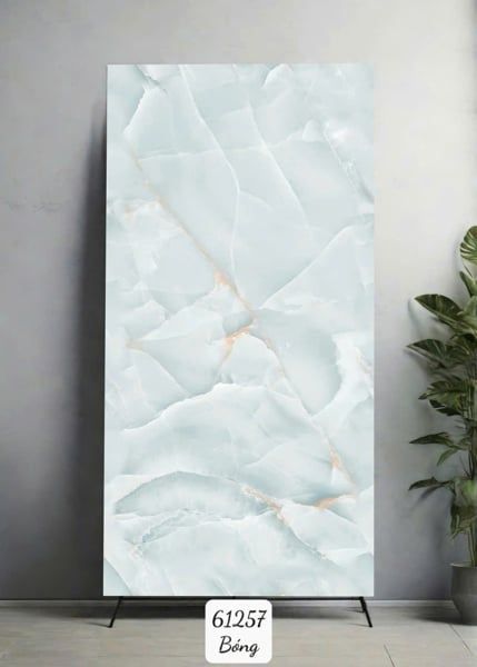  60*120 61257 Gạch ốp lát đá bóng kính Ấn Độ (2v/th/1,44m) 