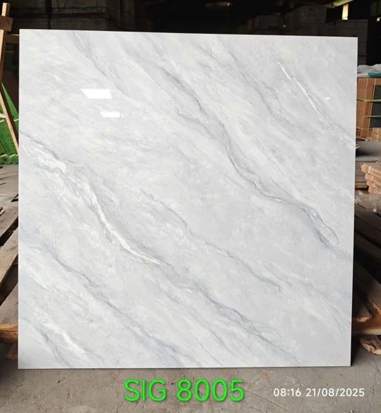  80*80 SIG8005 Gạch lát nền đá bóng kính (3v/th/1.92m) 