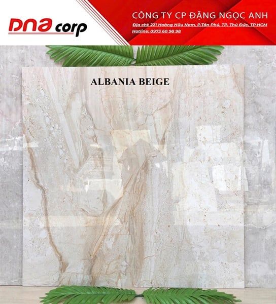  80*80 ALBANIA BEIGE Gạch bk Ấn Độ (3 viên/thùng/1,92m) 