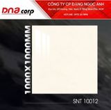  100*100 SNT10012 Gạch lát nền (2v/th) loại 1 tông vàng nhạt 