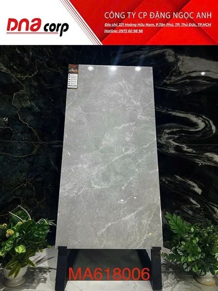  mờ 60x120cm 618006 apodio 