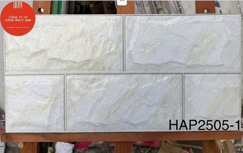  25*50 HAP25051 Gạch đá trang trí (8v/th/1m) 