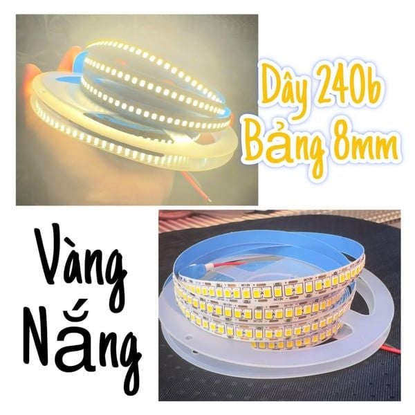  Đèn led 240b 8mm 12 v màu 3500k 
