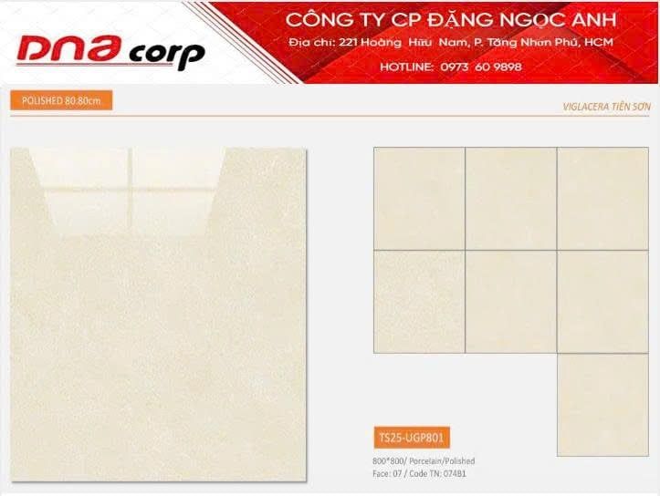  80*80 TS25-UGP801 Gạch đá bóng kính Viglacera (3v/th/1.92m) 