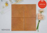  200X200 Gạch bông ECB-MDH2232 200X200 (25V/TH/1M) 