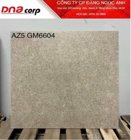  60*60 AZ5-GM6604 Gạch ốp lát đá mờ viglacera (1.44m/4v/th) 