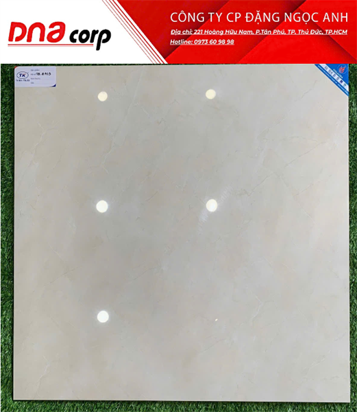  80*80 TB8703 Gạch lát nền đá bóng kính (1.92m/4v/th) 