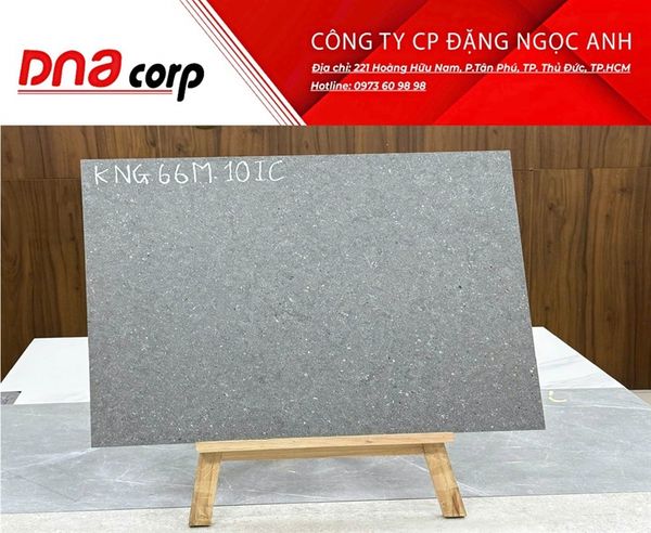  60x60 KNG 66M 10IC Gạch Đá Mờ th/4v/1.44m (mét) 