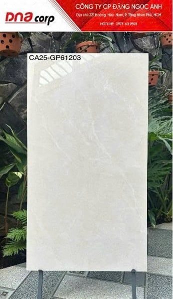  60*120 CA25-Gp61203 Gạch lát nền đá bóng khổ lớn (2v/th/1.44) 