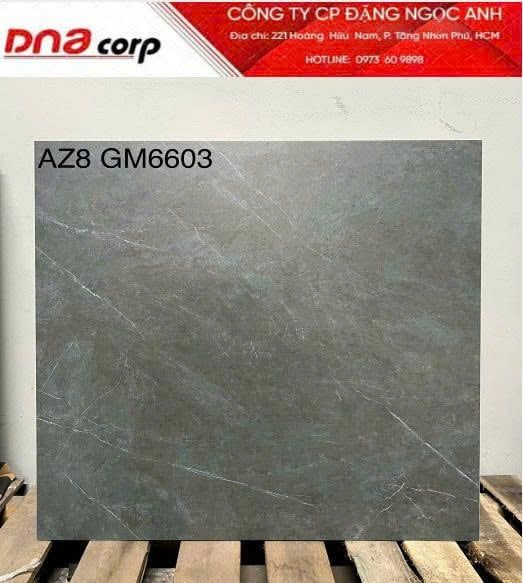  60*60 AZ8-GM6603 Gạch ốp lát đá mờ viglacera (1.44m/4v/th) 