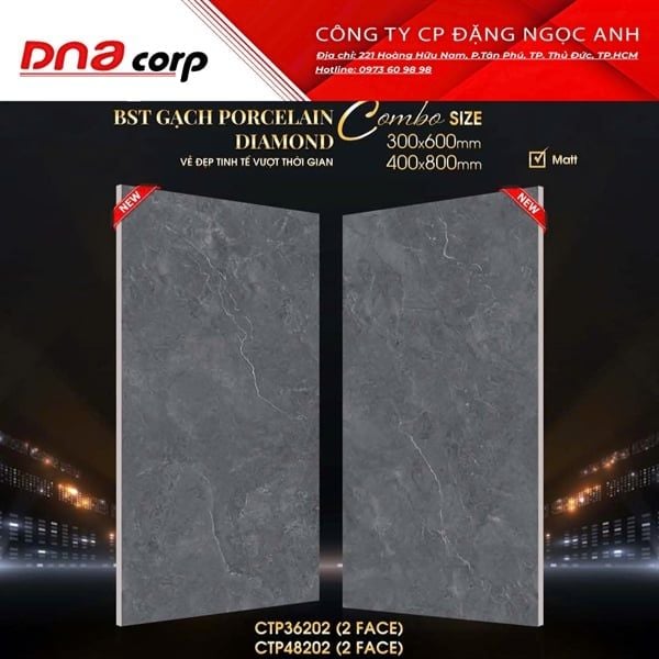  40x80 CTP48202 Gạch Đá Mờ 