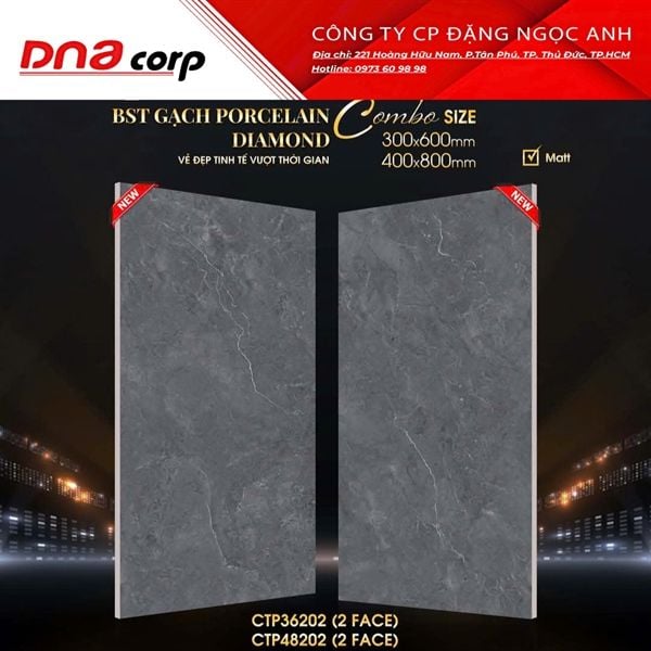  40x80 CTP48202 Gạch Đá Mờ 