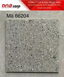  60*60 66204 Gạch ốp lát trang trí đá bóng (4v/th/1.44m) 