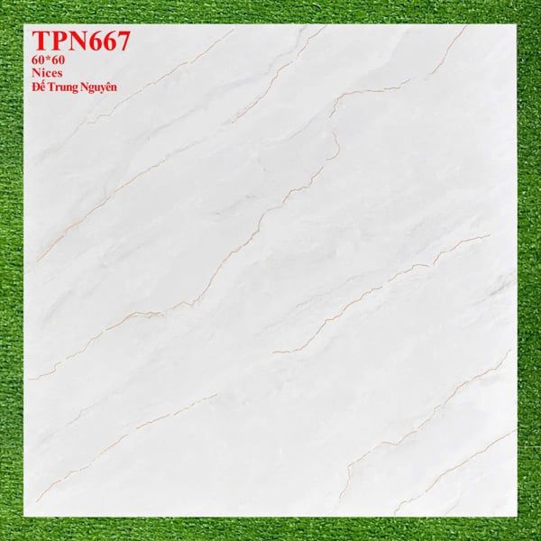  60*60 TPN667 gạch lát nền đá bán sứ (1.44m/4v/th) 