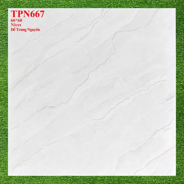  60*60 TPN667 gạch lát nền đá bán sứ (1.44m/4v/th) 