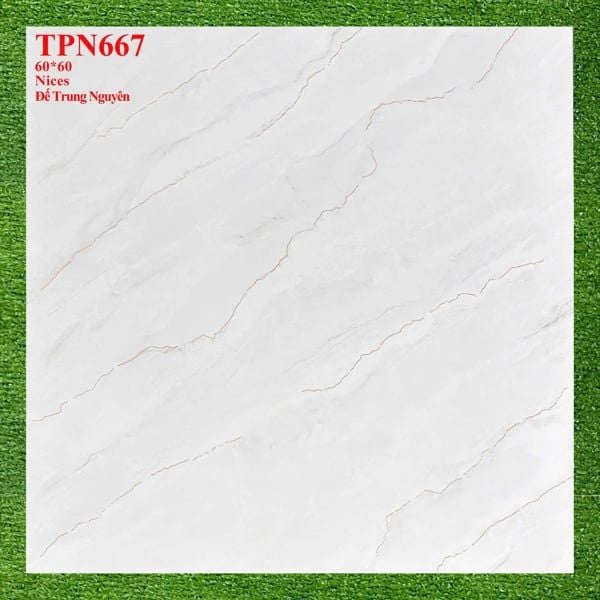  60*60 TPN667 gạch lát nền đá bán sứ (1.44m/4v/th) 