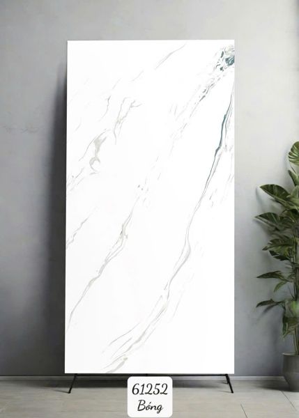  60*120 61252 Gạch ốp lát đá bóng kính Ấn Độ (2v/th/1,44m) 