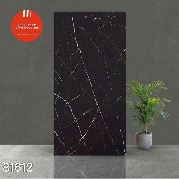  Gạch 81614 Ấn Độ 80×160 