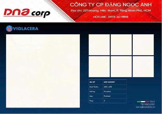  60*60 ASD 6608GP gạch lát nền đá bóng kính (4v/th/1,44m) 