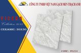  30*30 WG314Gạch lát nền Vicera l1 