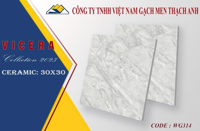  30*30 WG314Gạch lát nền Vicera l1 